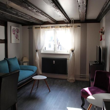 Appartement Les Violettes Colmar Zewnętrze zdjęcie
