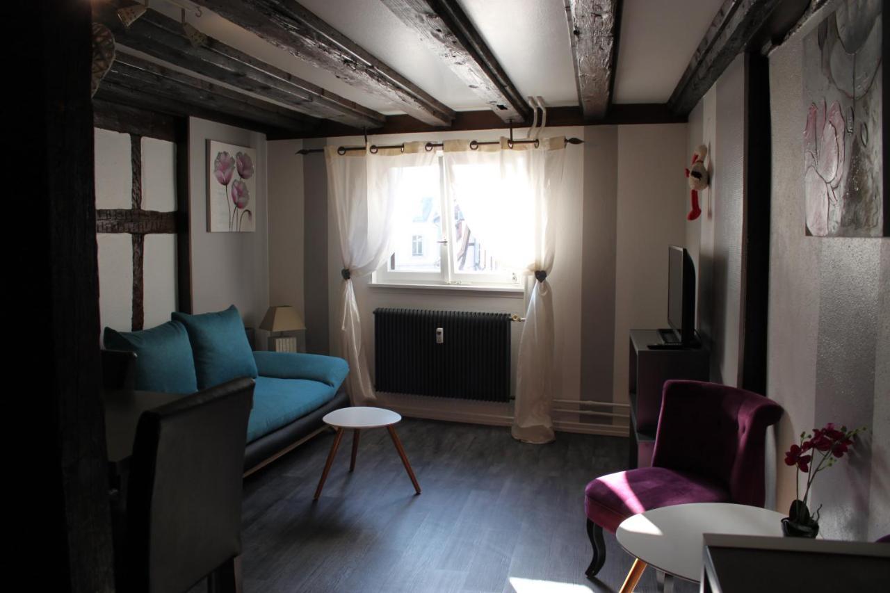 Appartement Les Violettes Colmar Zewnętrze zdjęcie