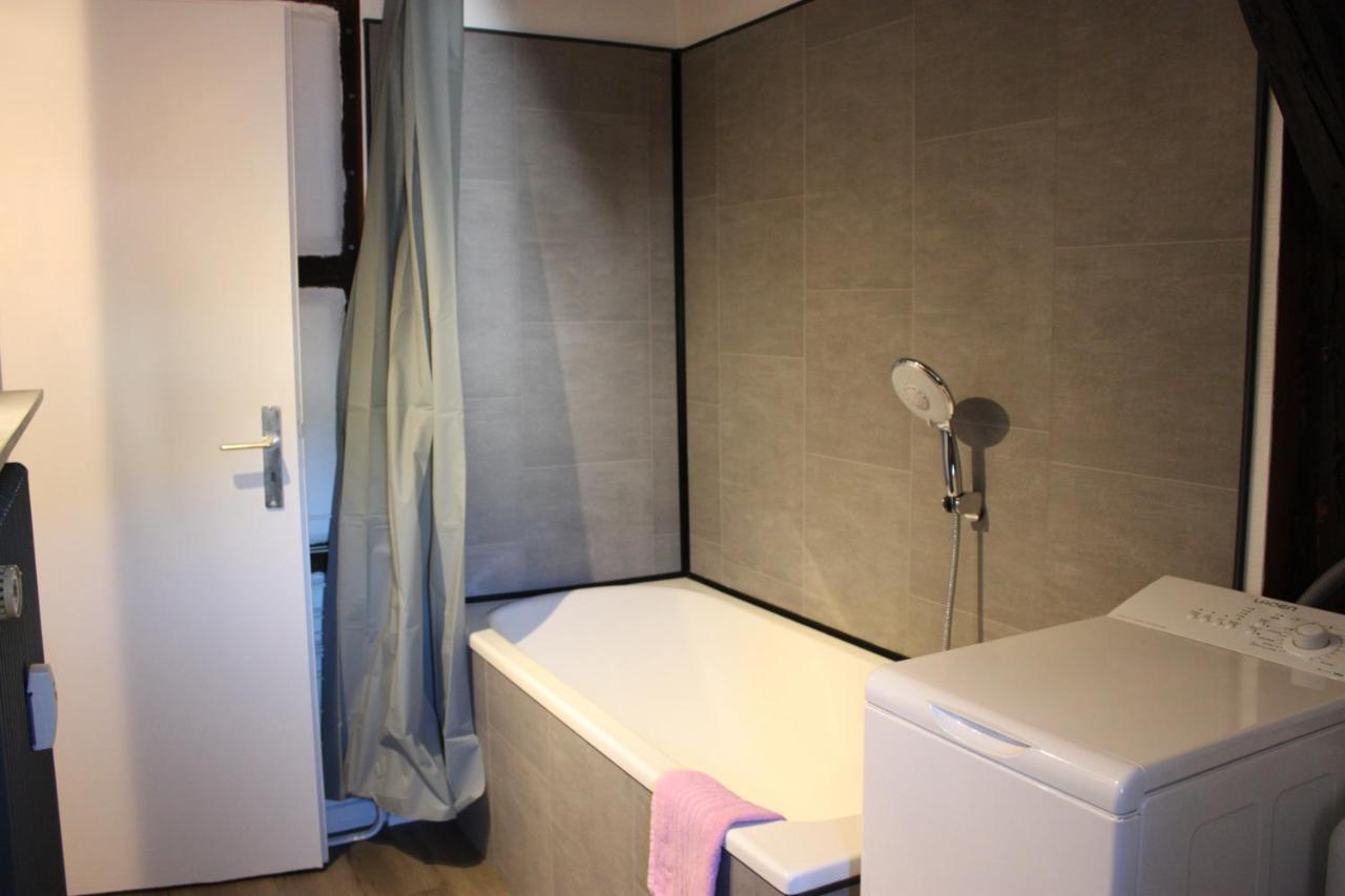 Appartement Les Violettes Colmar Zewnętrze zdjęcie