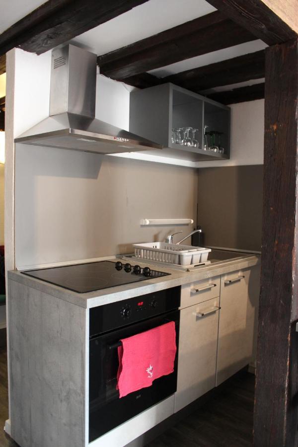 Appartement Les Violettes Colmar Zewnętrze zdjęcie
