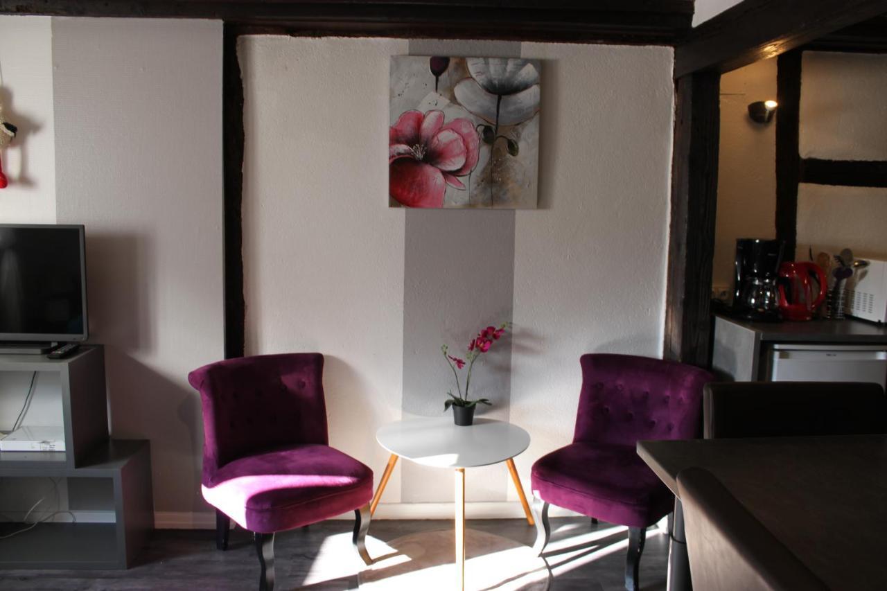 Appartement Les Violettes Colmar Zewnętrze zdjęcie