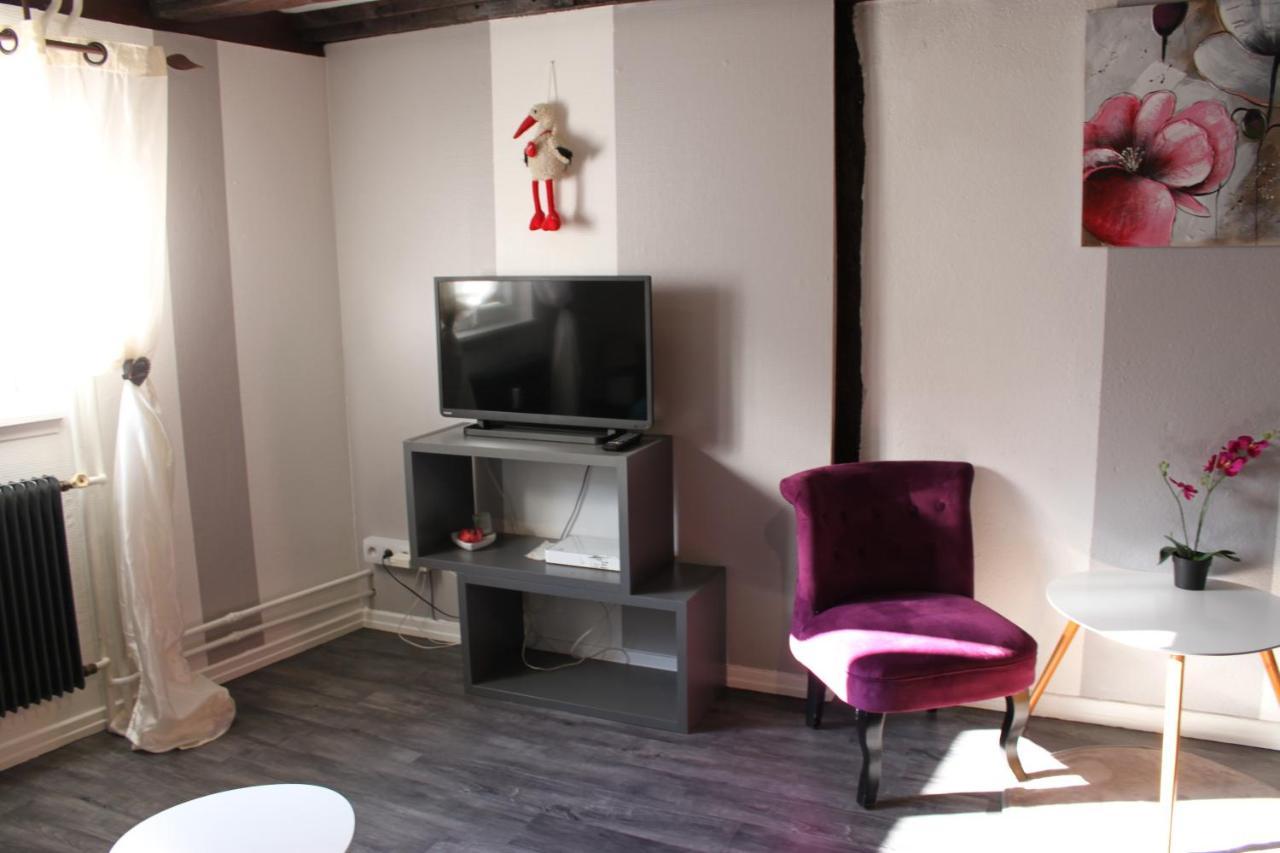 Appartement Les Violettes Colmar Zewnętrze zdjęcie