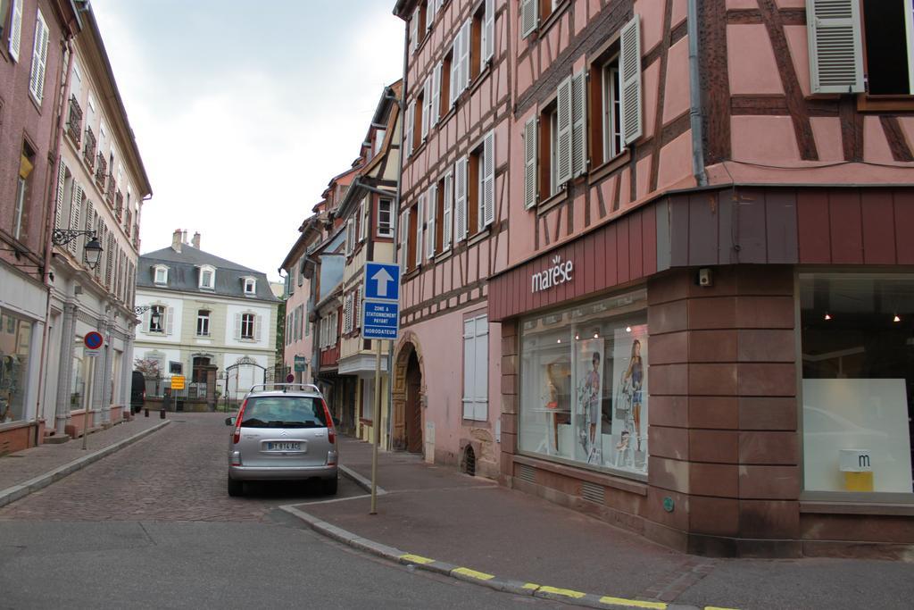 Appartement Les Violettes Colmar Pokój zdjęcie